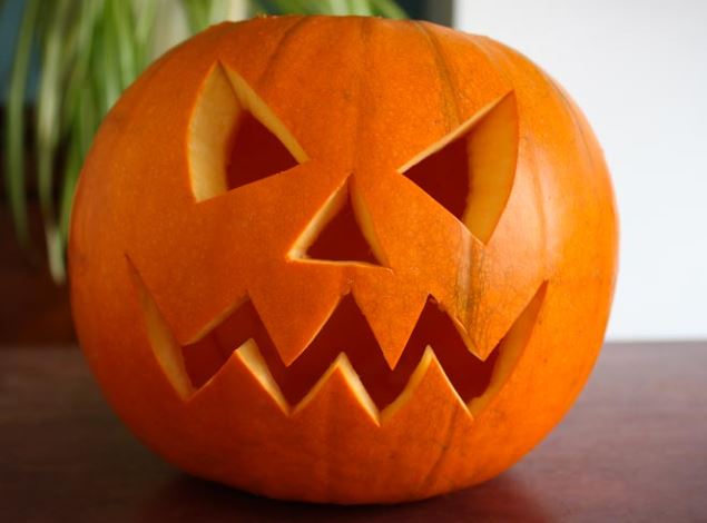 Pumpkin Carvin' Session 1: Member